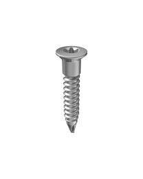 PVC Schroef 'S TX20' - 4,5x25 mm