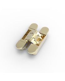 Onzichtbare scharnier 'Invisible Neo S5' (Gepolijst messing)